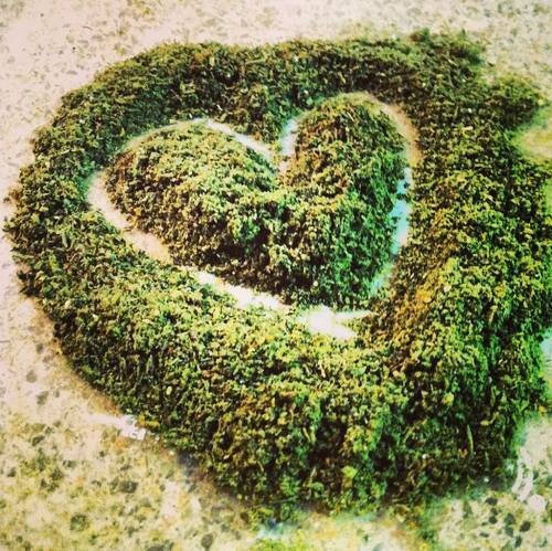 Weed 3 3