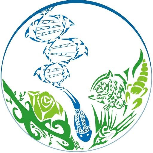 Biología / Química / Estudios de la Naturaleza / Metodología de la Investigación
