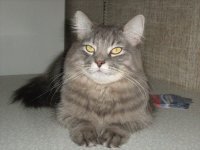 huvupycinyri's profile picture. Пополнять аудиозаписи новой музыкой — это как наполнять душу новой энергией.