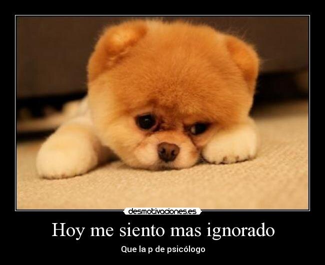 mora6e's profile picture. 