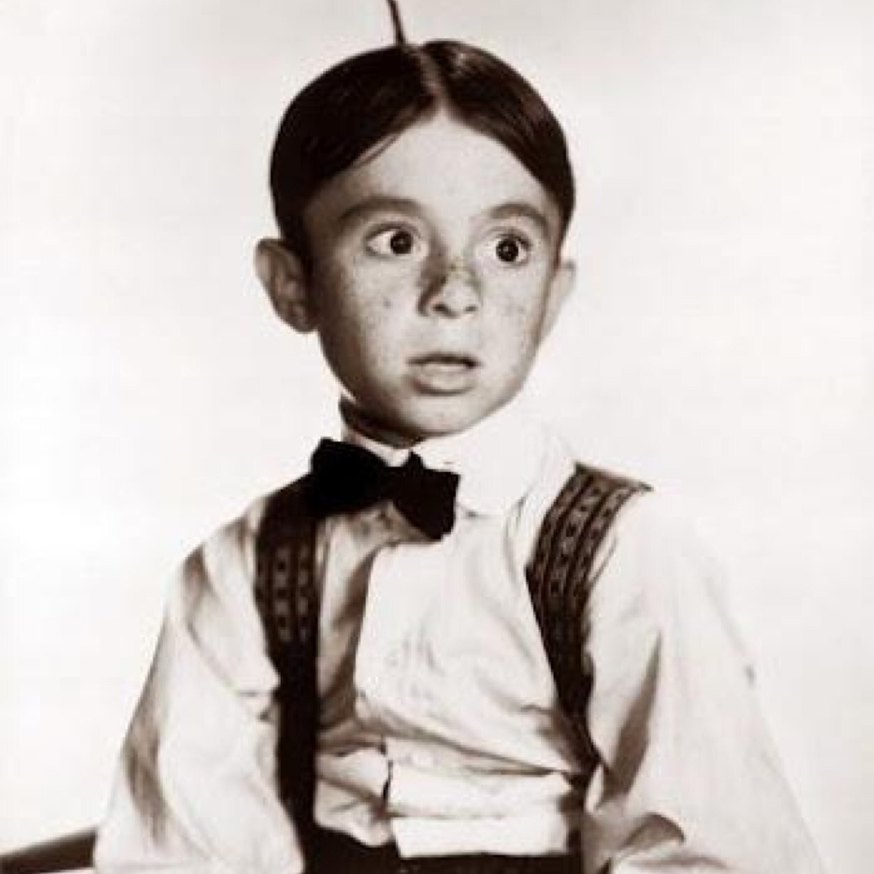 LGentilomo's profile picture. 