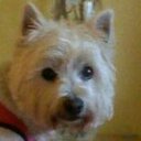 Rory & Mack - @rory4mack - Twitter