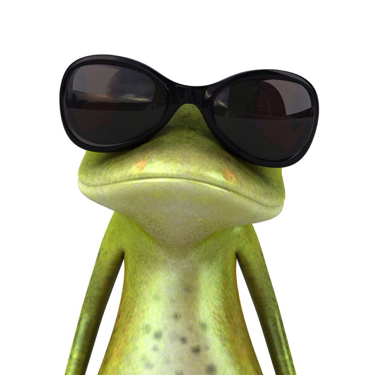 marco el bibo