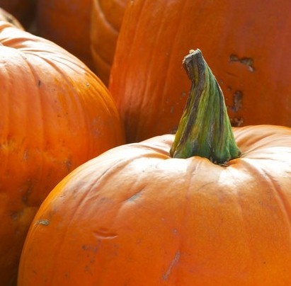 HalloweenSuperM's profile picture. Latest Halloween Deals