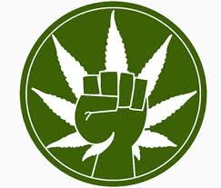 perjuangan untuk masyarakat/ Ganja legal Bumi Selamat