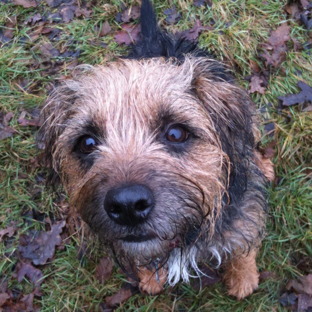 NicWalocin's profile picture. 