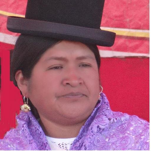 SENADORA ESTADO PLURINACIONAL DE BOLIVIA
Vicepresidenta del Senado 2010-2012
Presidenta Comisión Economía Plural, Productividad, Industria e Industrialización