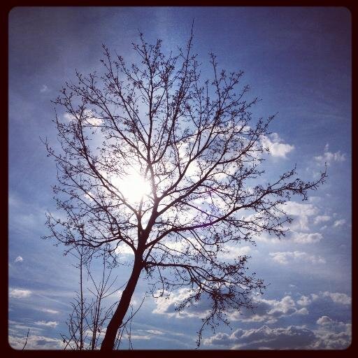 There, in the wind, a leaf, smiling, enjoying the ride - I dig on words, art, photography, toys, several ISMs & ologies, & tasty beverages - PAX