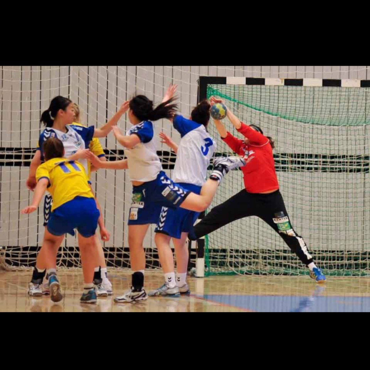 HBgoalieprobs's profile picture. 