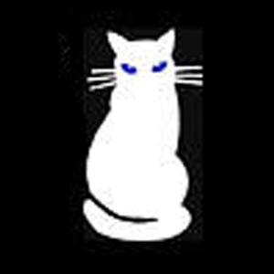 ebaykitty's profile picture. Ebay Store - We Sell Nice Things