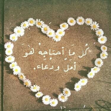 أنا ابنه لأم وأب لم يراقباني يوماً بل علّماني كيف استشعر مراقبه الله لي♡ - إن غبت ولم تجدوني، أكون بحاجة للدعاء ♥.