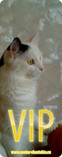 tuwymyfyqogy's profile picture. "Не залетела в 15, не лечилась от наркозависимости, работаю не на панели. В общем, совершенно не оправдала надежд учителей".