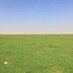لا اعرف اليأس (@gfdsa1234532) Twitter profile photo