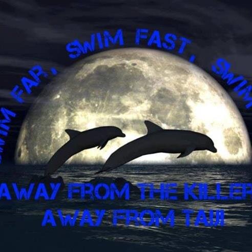 KaterGuenter's profile picture. #StopVivisection #Tweet4taiji #blackfish #StopTheGrind #StopAnimalTests