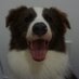 Joel Borrego (@erpipex) Twitter profile photo