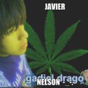 javier nelson - @OoDragoO - Twitter