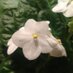 Indy (@1234terre) Twitter profile photo