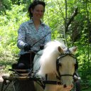 Carol Strong - @CarolStrong - Twitter