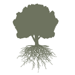 Servicios de asesoramiento, análisis y formación para truficultores.
Services for truffle growers: consultancy, analyses and trainings