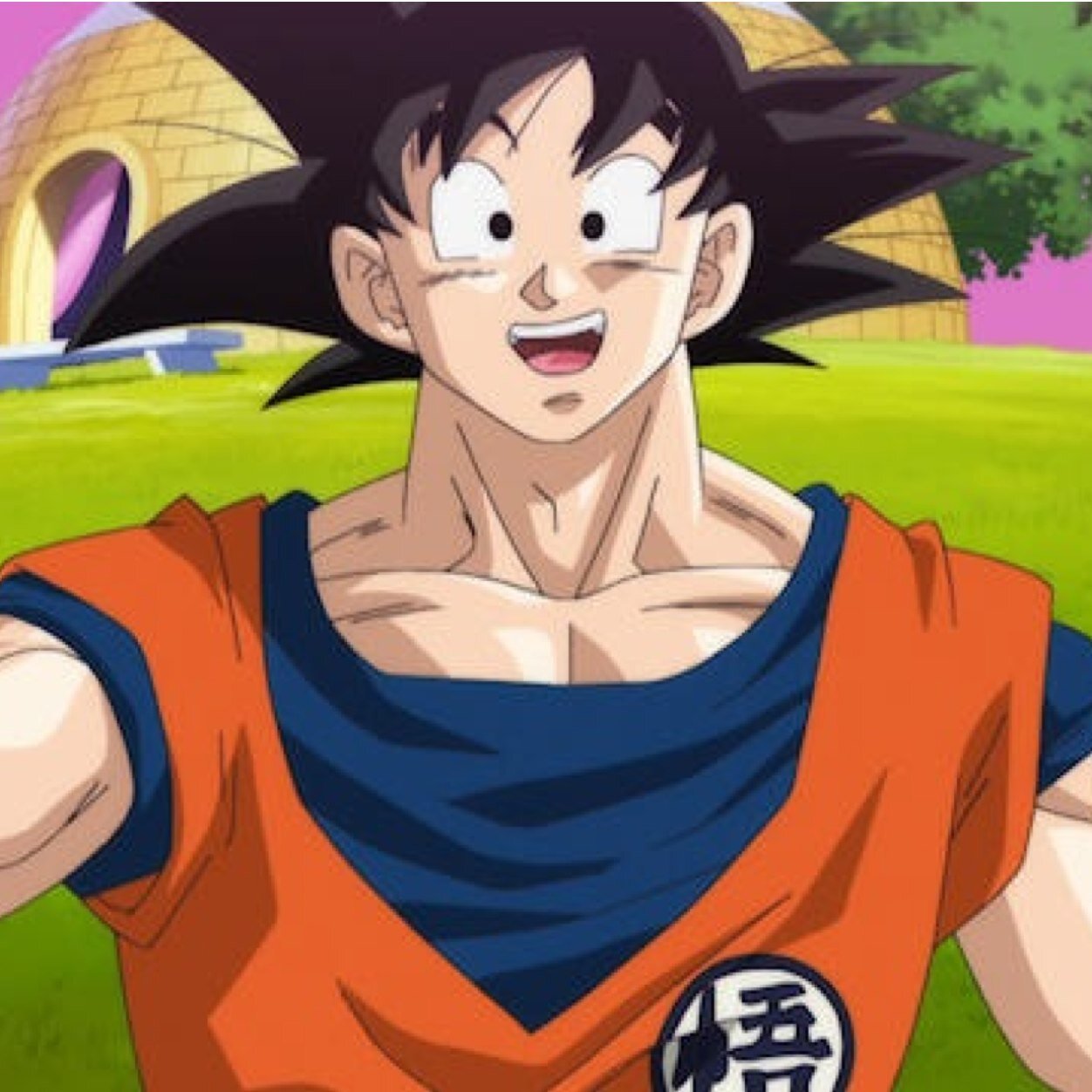 Hey there I'm Goku husband of chi-chi and father of Gohan and Goten and my daughter is @gorinsuspended i love food and i love fighting