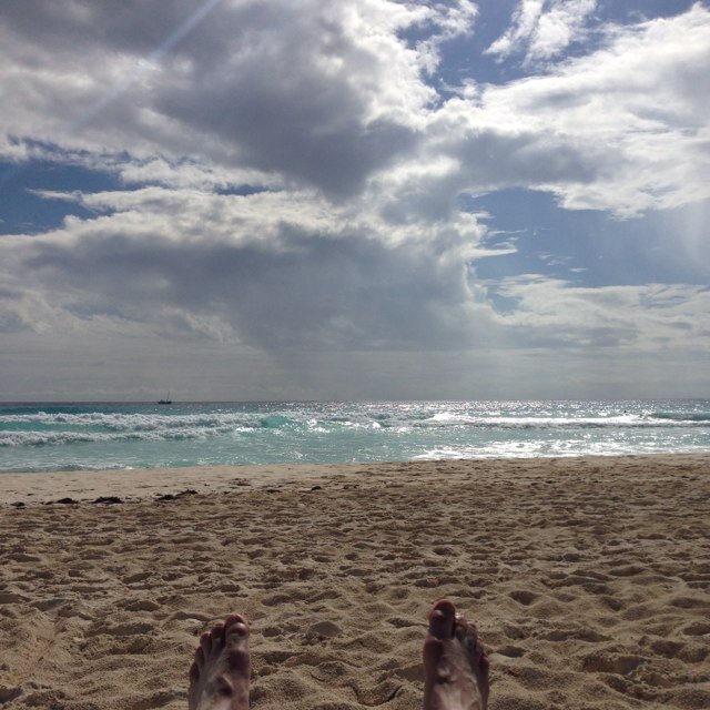 OWC2's profile picture. 