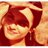AdresMelis's profile image