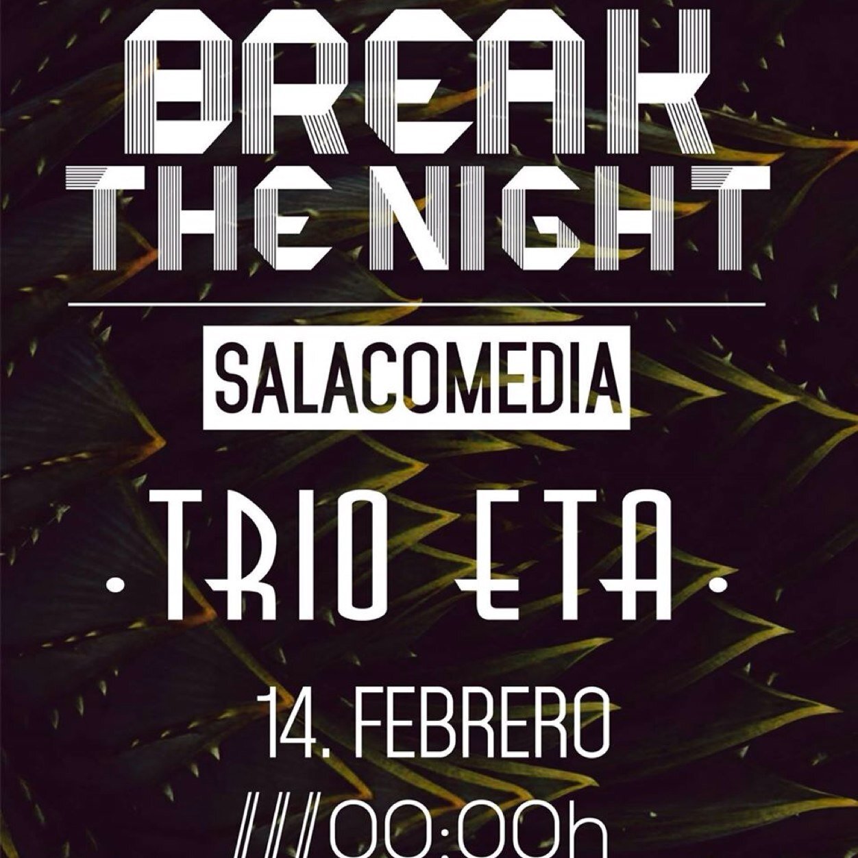 Disfrutas las Fiestas de una forma diferente... BreakTheNight te propone fiestas nunca vistas.
Dubstep,Drumbass,Electro,Trap...