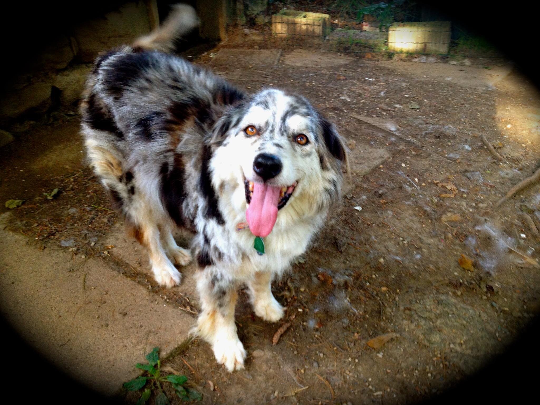 TomRiggs16's profile picture. Live music videos: https://t.co/PSVYOwvDE2