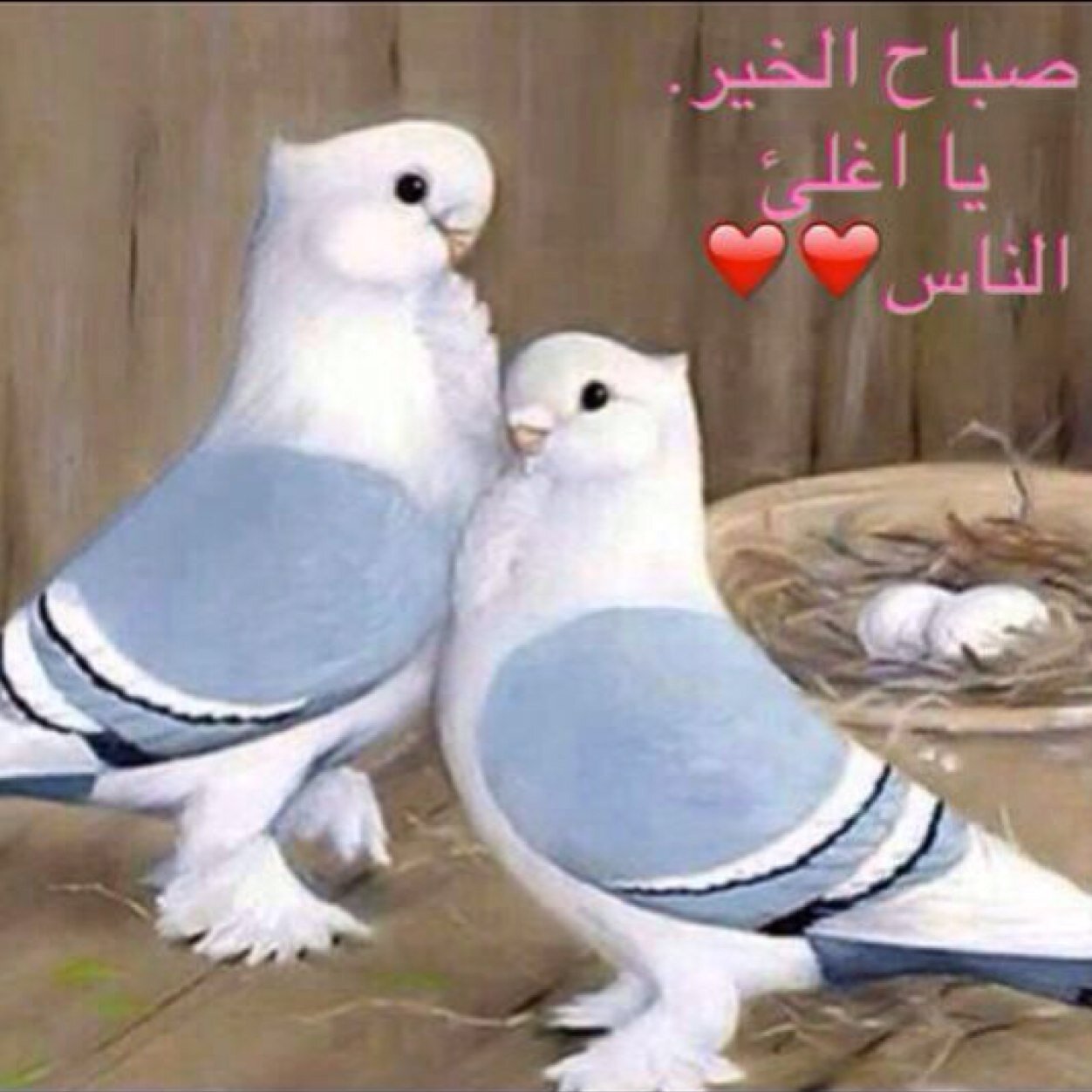نطلب التوفيق من الله للزواج والله ما أحلل أي انسان يتلاعب أو يستخدم كل موجود على صفحتي في الإسائة ولا تنسى أن الحساب عند الله اختكم ام عبدالعزيز