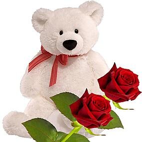 Hi, My Name is Jona. I am Male. Working as Consultant for Constructions.