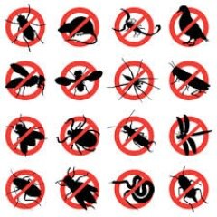 Village Pest Services is a full service pest control company servicing mainly The Villages, Spruce Creek, Stonecrest and surrounding areas.