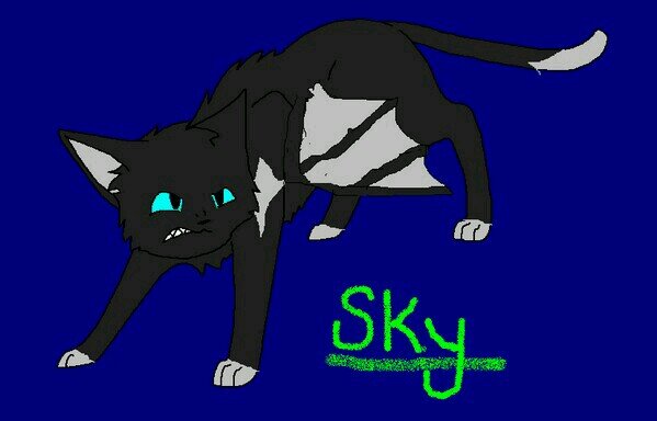 Dark cat with light whiteish-gray markings, dragon wings. I can control the night wind. I am more powerful than you think.