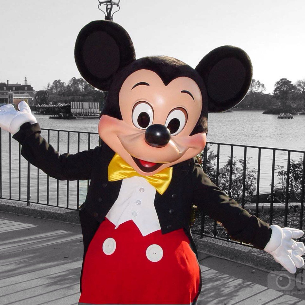 WDWSelective's profile picture. Drawing attention to the magical details at Disney!