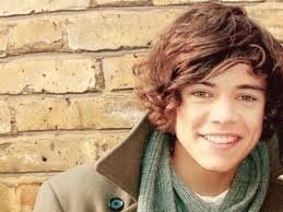 I LOVE ONE DIRECTION HAVE NO PREFERENCE FOR ALL NONE ARE BEAUTIFUL AND HAVE A DEFECTIVE IF SOMEONE BETTER THAN THEM
