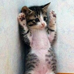 Mx_xNa's profile picture. 好きなもの  L'Arc～en～Ciel VAMPS／MONORAL