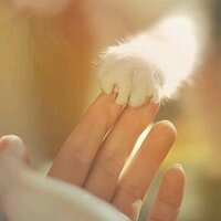 tiramixiu321 (@tiramixiu326) 's Twitter Profile