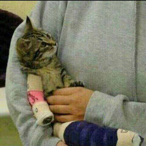 azooz97594's profile picture. قدووتي بلحياااه  @Naic2001 هي