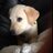 Mumzie530's profile image
