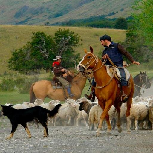 theoben's profile picture. 