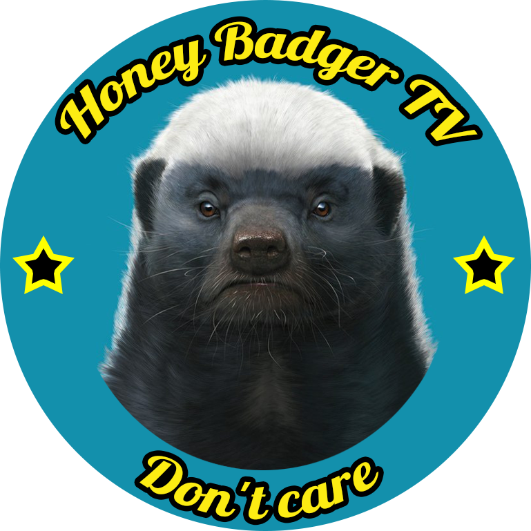 HoneyBadgerTV's profile picture. LetsPlay, Videos, We Don't care