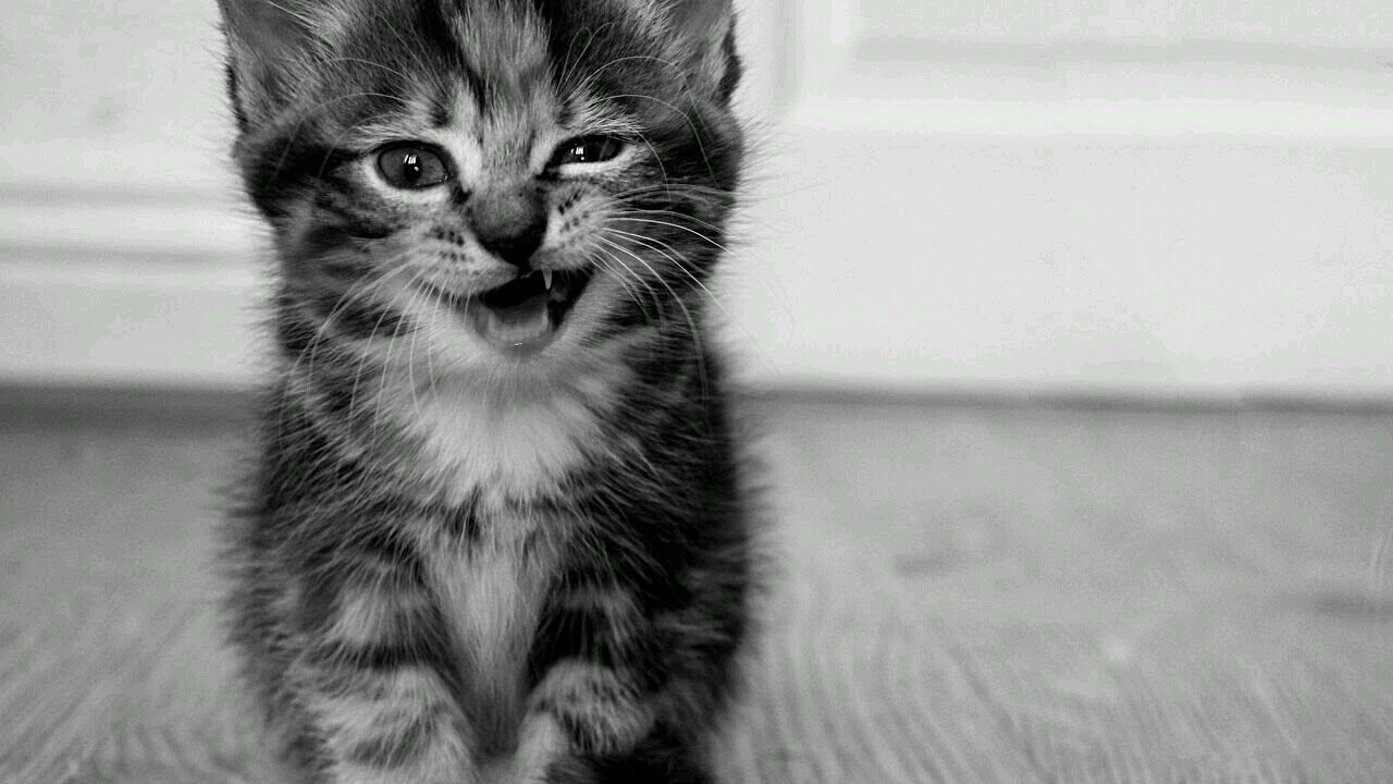 DaziBy's profile picture. 