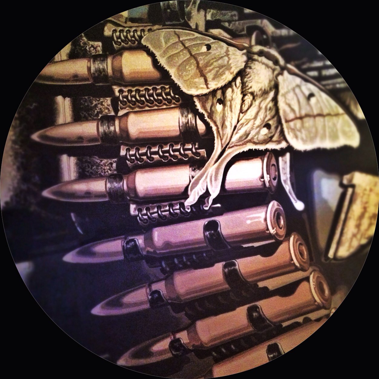 Karamell_no's profile picture. Вечно злой, недовольный, раздражительный, ноющий, упрямый, человеконенавистный гриб.Не подписывайся, пожалеешь.