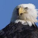 Ellery Jackson - @ElleryJackson1 - Twitter