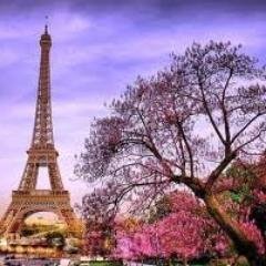 maharanialie's profile picture. 