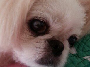 gys1244089's profile picture. 고영수