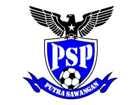 The young guns Psp sawangan football academy..