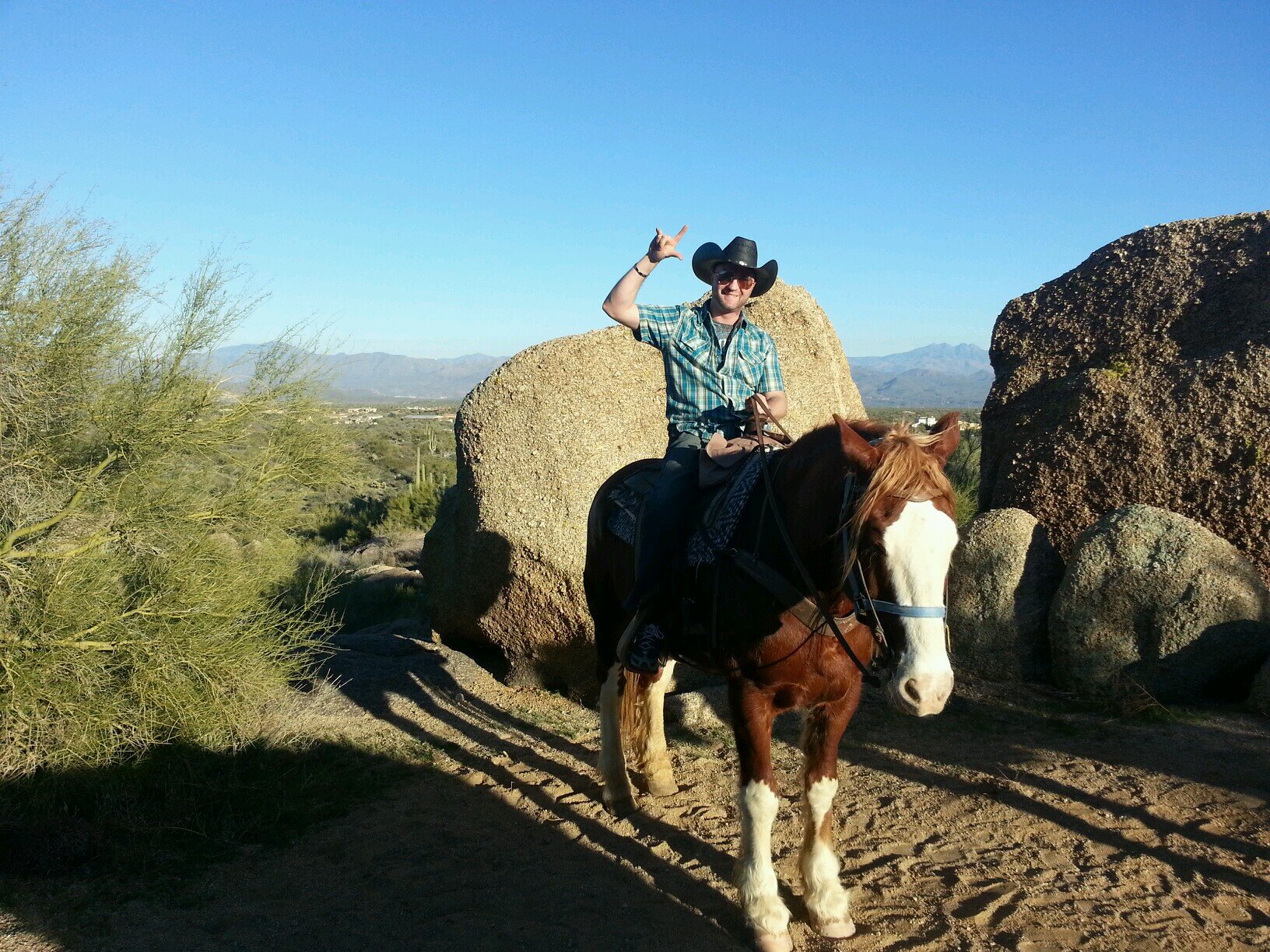 Self employed, work hard/play hard - fireball of energy... keep up!