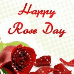 Happy Rose Day with You : Feb 07, 2014