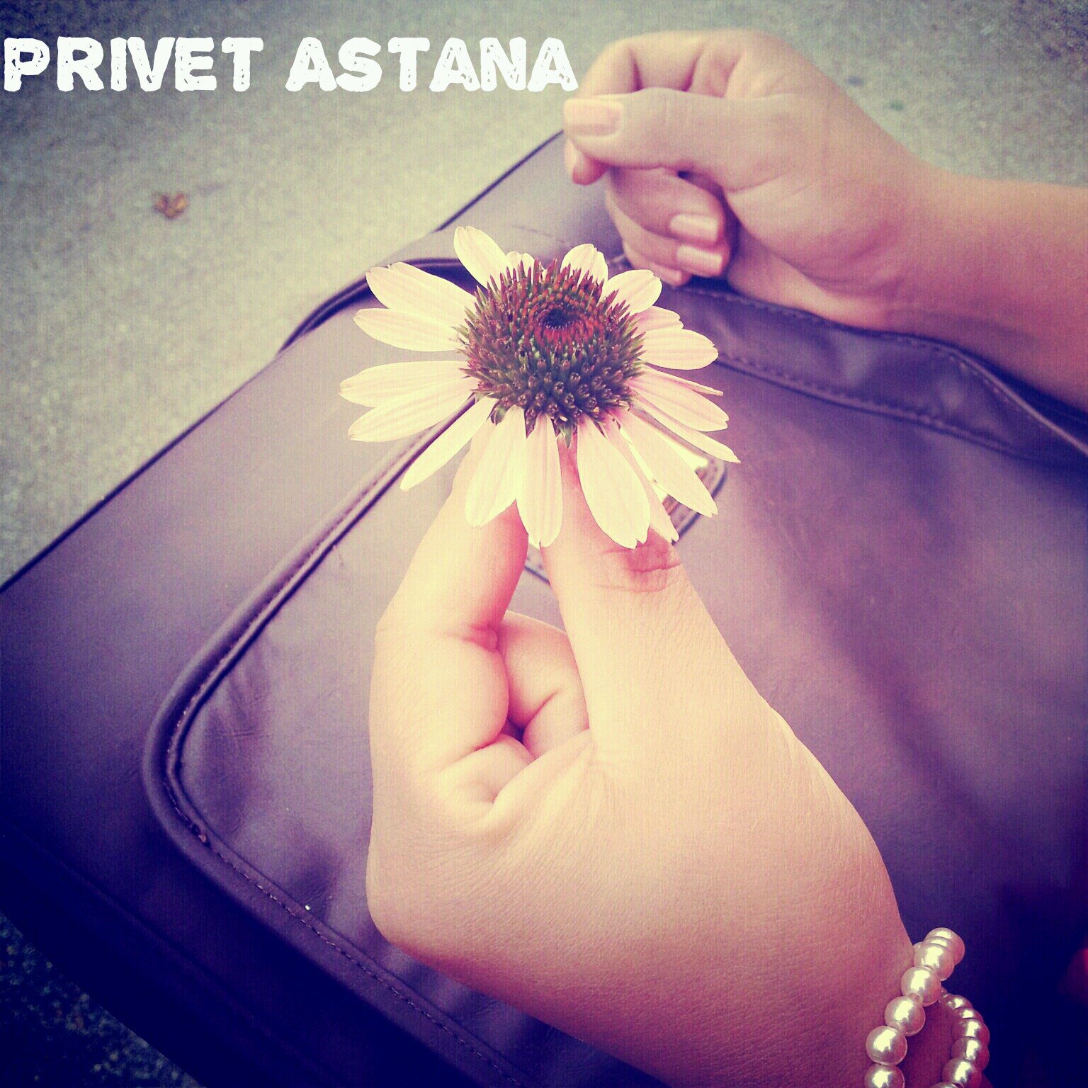 meroxperia1's profile picture. indie/folk band, London