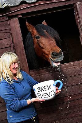 Look out for me around #Sheffield City centre horsing about in the only way I know how and promoting Brew Events' Race Night! #lovehay #lovestables #loveabrew